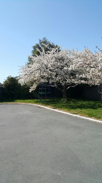 Lilybrook Motel Rangiora Bagian luar foto